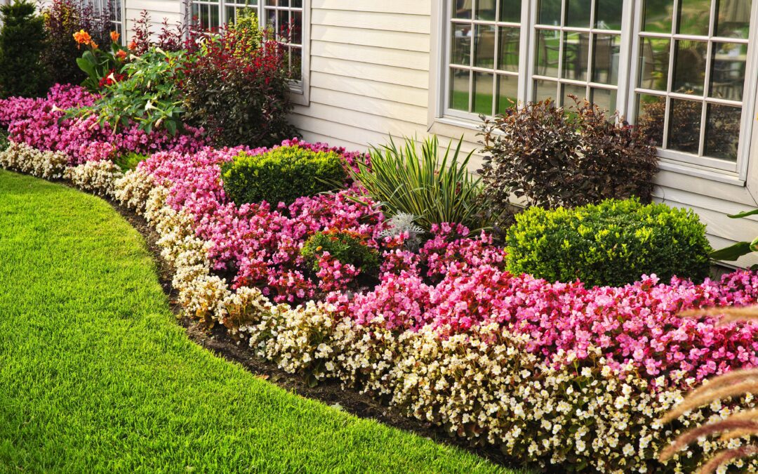 flowerbed of colorful flowers against wall with windows